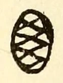 Hier tritt an die Stelle des Schildes ein ganz ovales Feld, ebenfalls mit Rauten gefüllt und ohne Farbe eingedrückt. Hofmann 1908 zählt diese Marke zu den freien Abwandlungen des Schildstempels, die gegen Ende des 18. Jahrhunderts neben der regulären Form vorkamen, und merkt an, dass sie nur ganz vereinzelt gebraucht wurden.